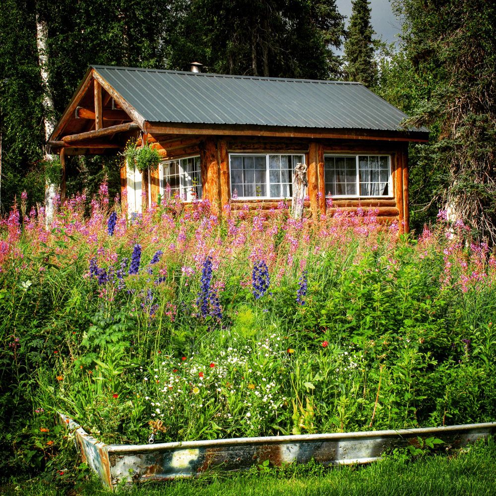 Guest Cabin Exterior - Talaheim Fishing Lodge