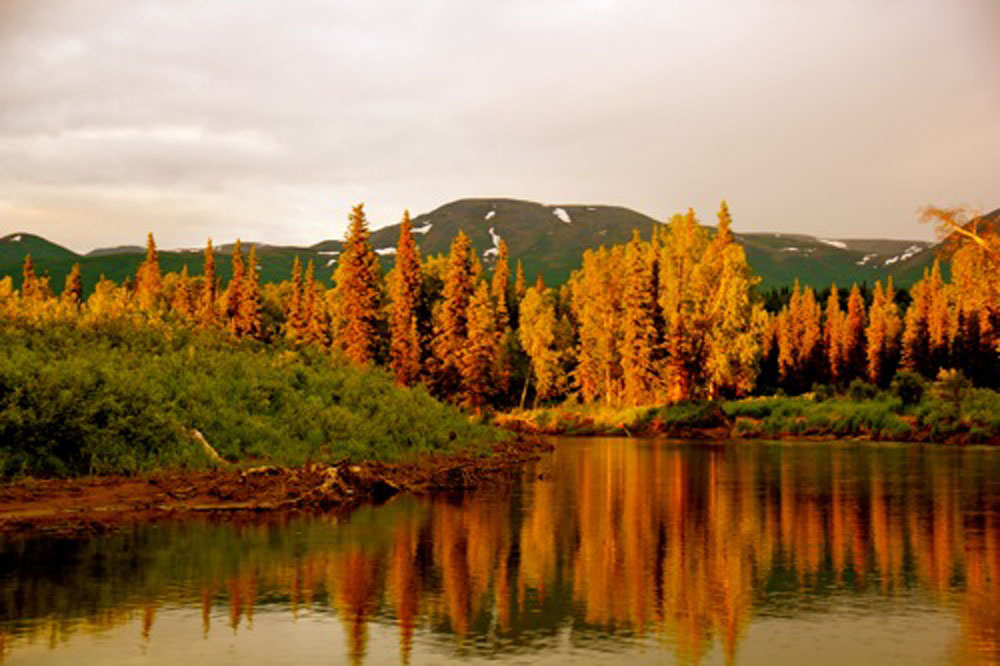 Sightseeing Alaska
