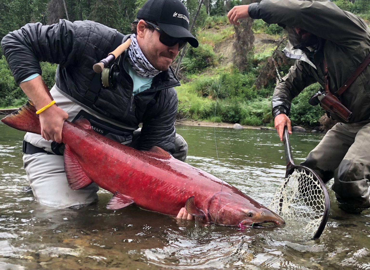 king-salmon-vs-sockeye-salmon-shoreline-wild-salmon