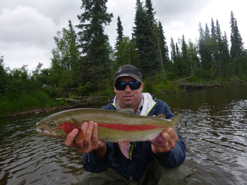 Big Alaska Rainbow Trout - Talaheim Fishing Lodge